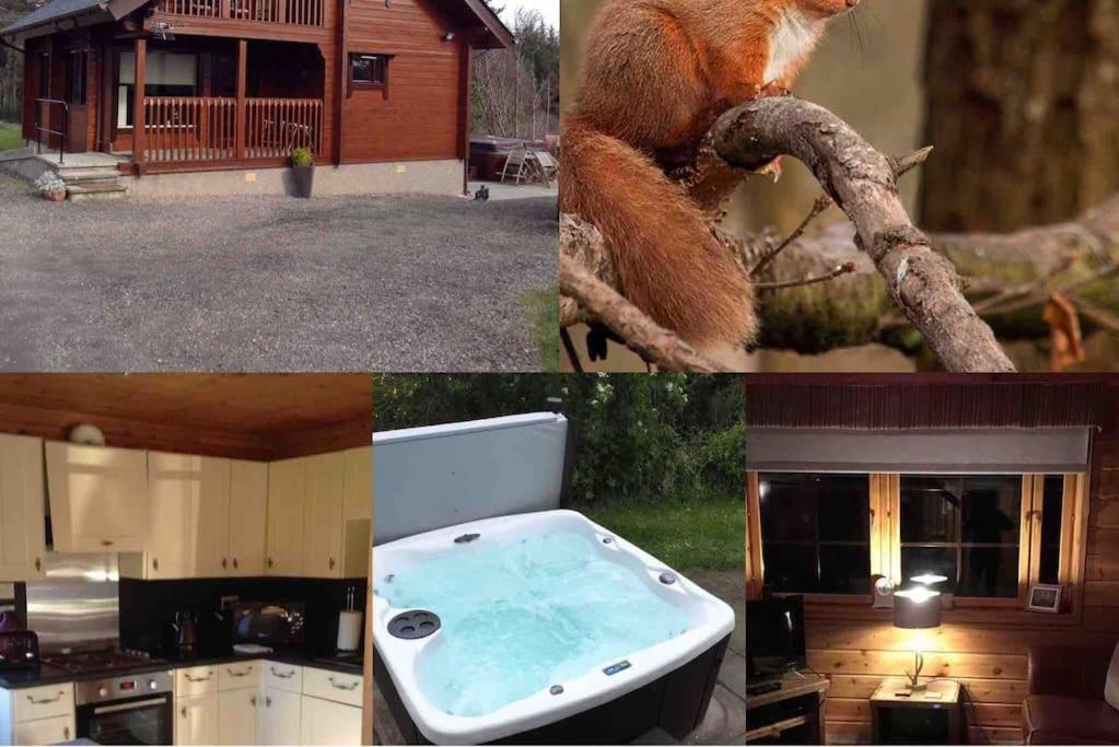 Red Squirrel Log Cabin With Hot Tub Keith Luaran gambar